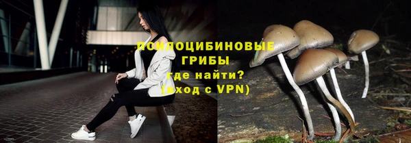 Альфа ПВП Кодинск