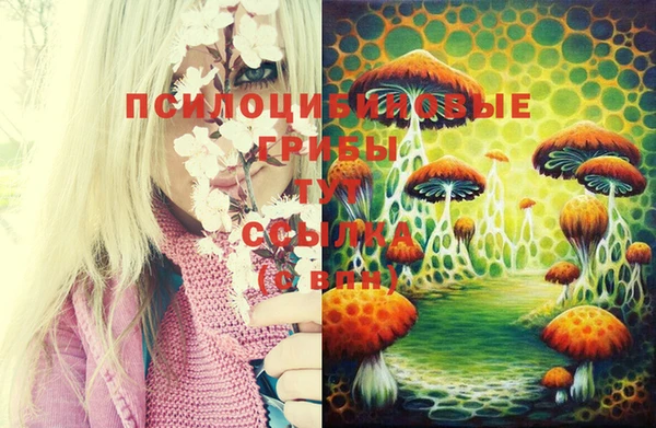 МДПВ Козельск