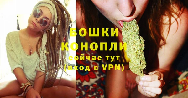 стафф Козловка