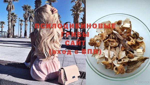 стафф Козловка