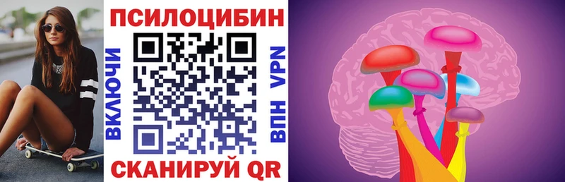 Купить  Кодинск  Псилоцибиновые грибы Cubensis 