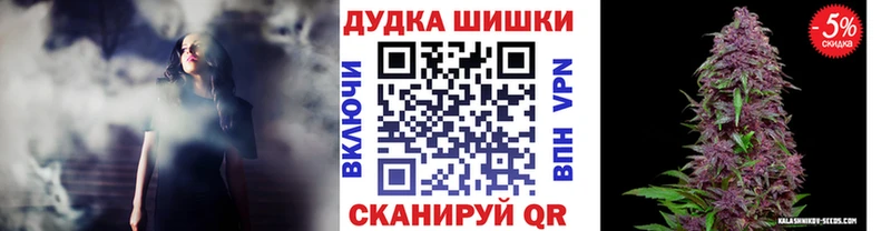 Купить где  Кодинск  Канабис сатива 